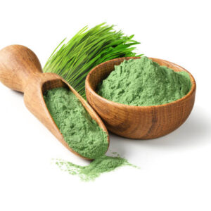 Istockphoto 1422550916 612x612