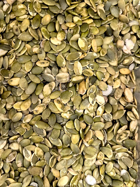 Istockphoto 2212625310 612x612